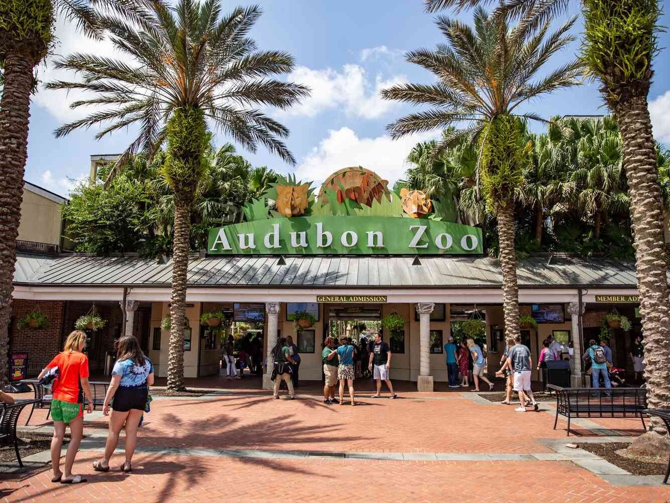 Picture of Audubon Zoo