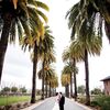 A Romantic Wedding in Pleasanton, CA