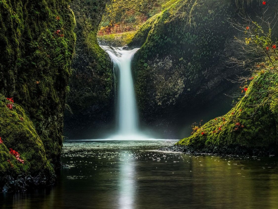 Picture of Punch Bowl Falls