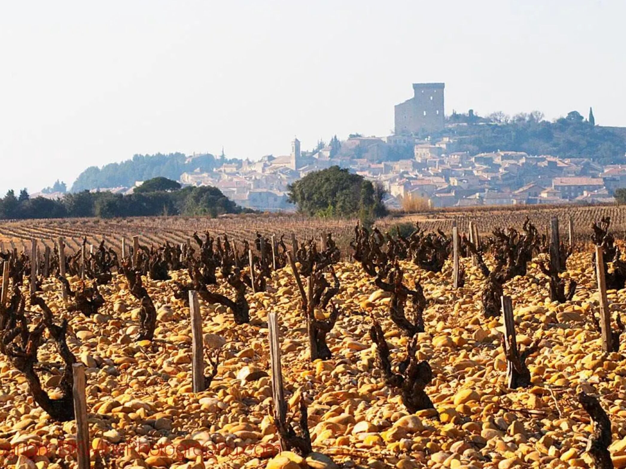 Picture of Wine Museum Brotte