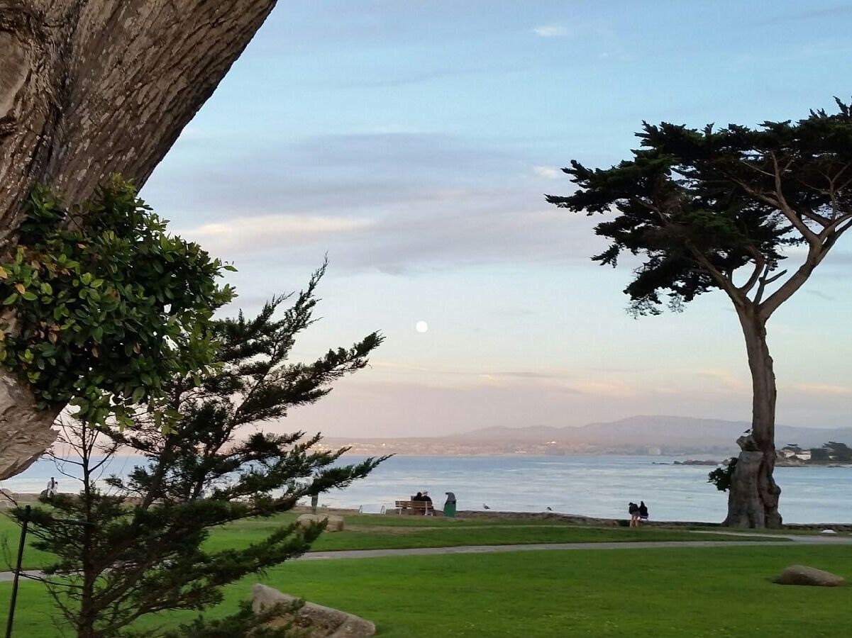 Picture of Lovers Point Park