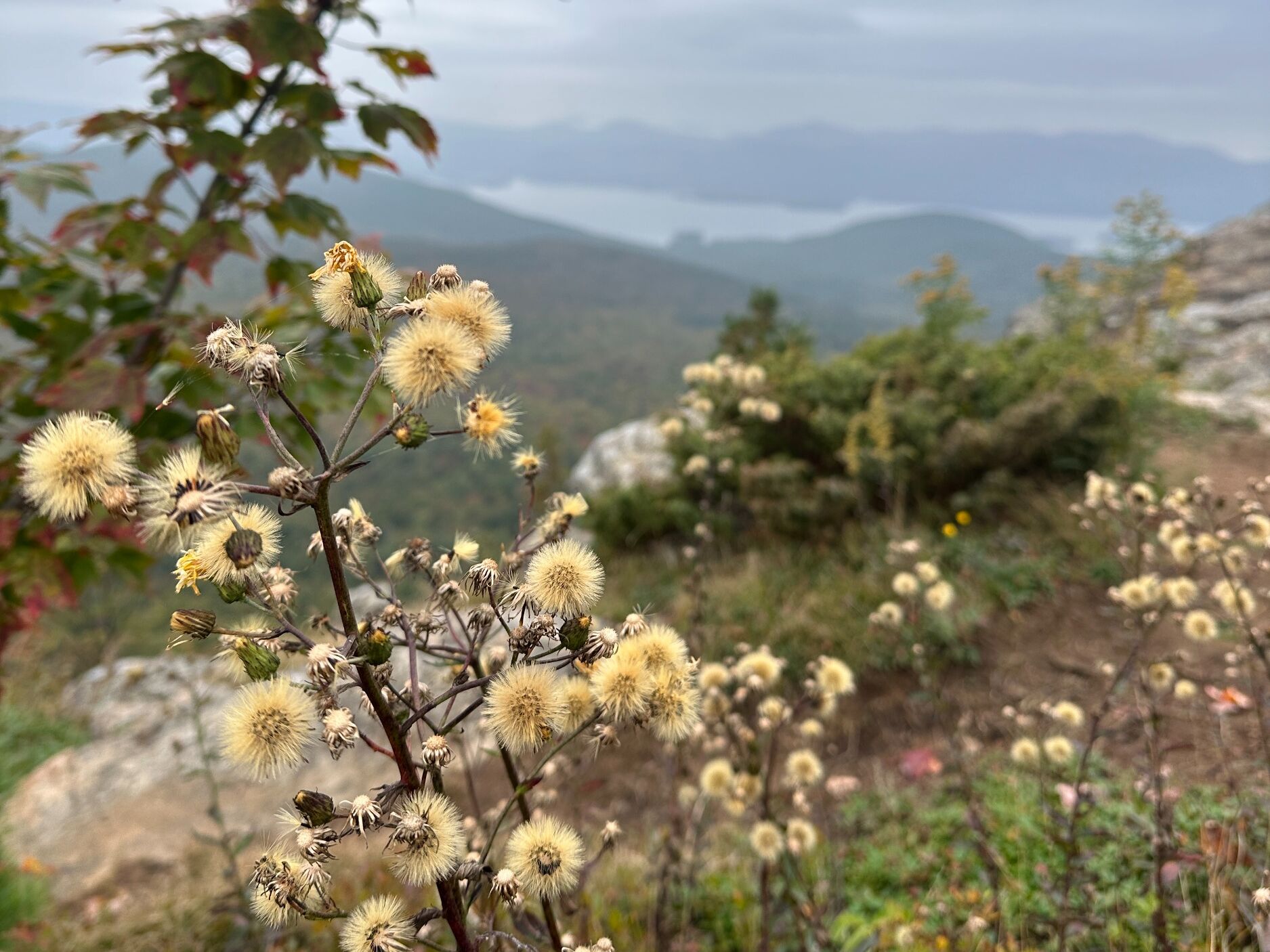 Picture of Adirondack Mountain Hike