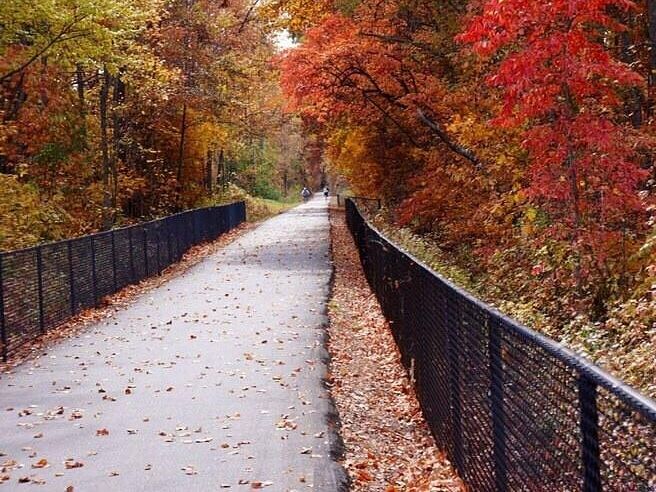 Picture of Swamp Rabbit trail