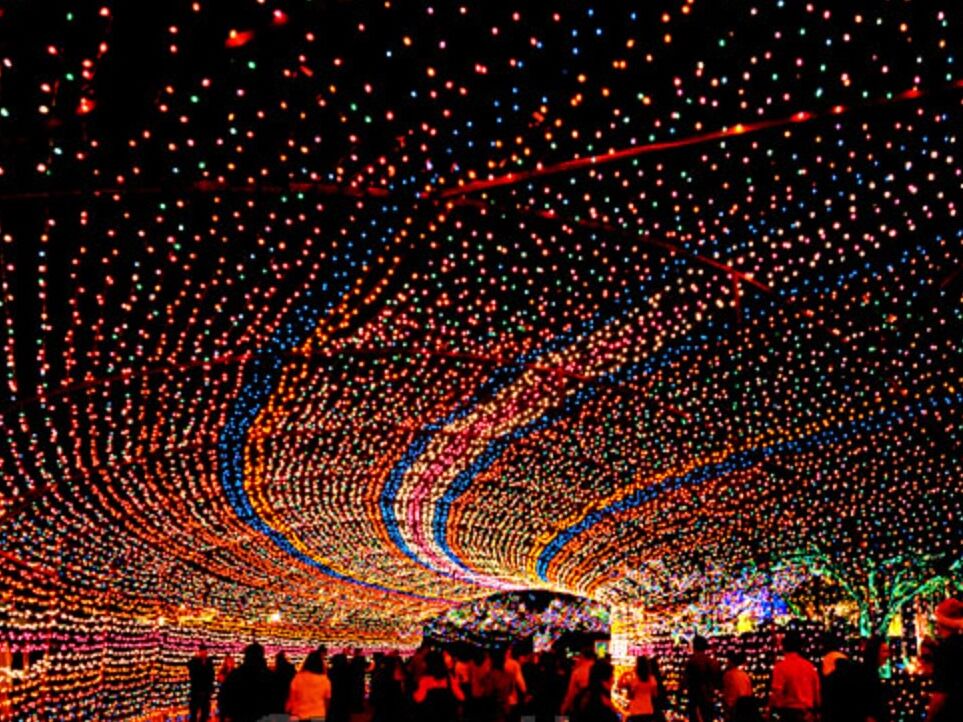 Picture of Austin Trail Of Lights