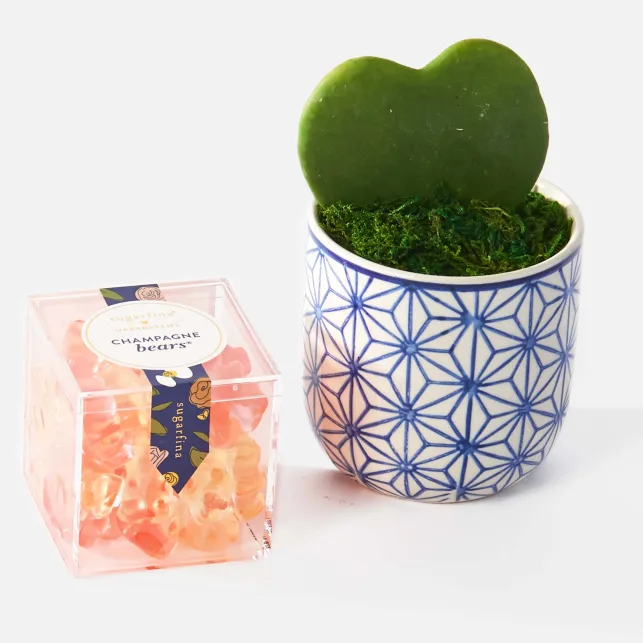 UrbanStems candy and cute heart-shaped succulent gift