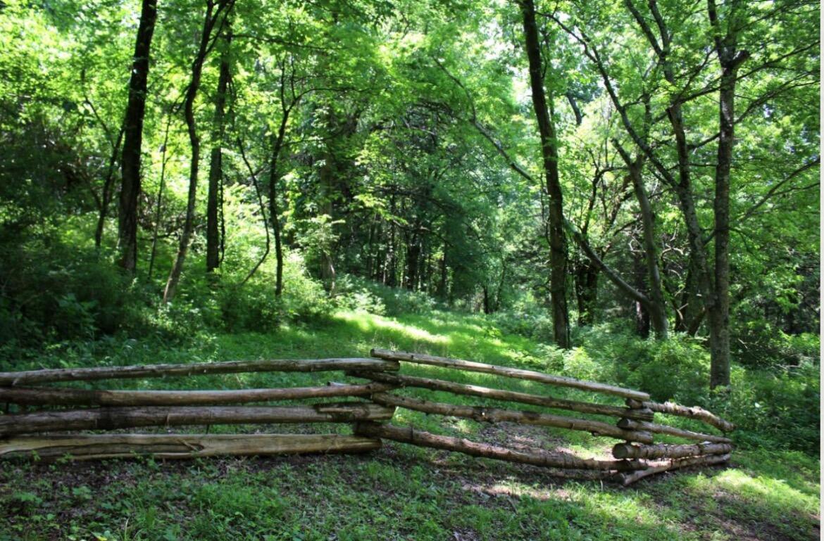 Picture of Marcella Vivrette Smith Park