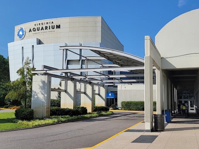 Picture of Virginia Aquarium & Marine Science Center