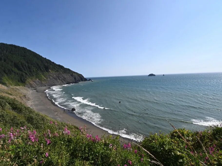 Picture of South Coast Tours