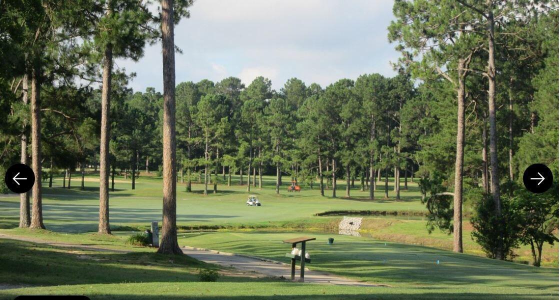 Picture of Lake Marion Golf Course