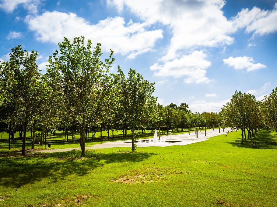 Picture of Bicentennial Park