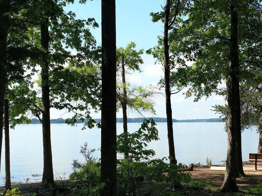 Picture of Jetton Park