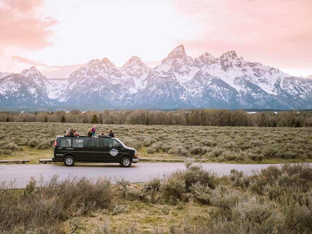 Picture of EcoTour Adventures