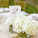 Sophisticated Table Numbers