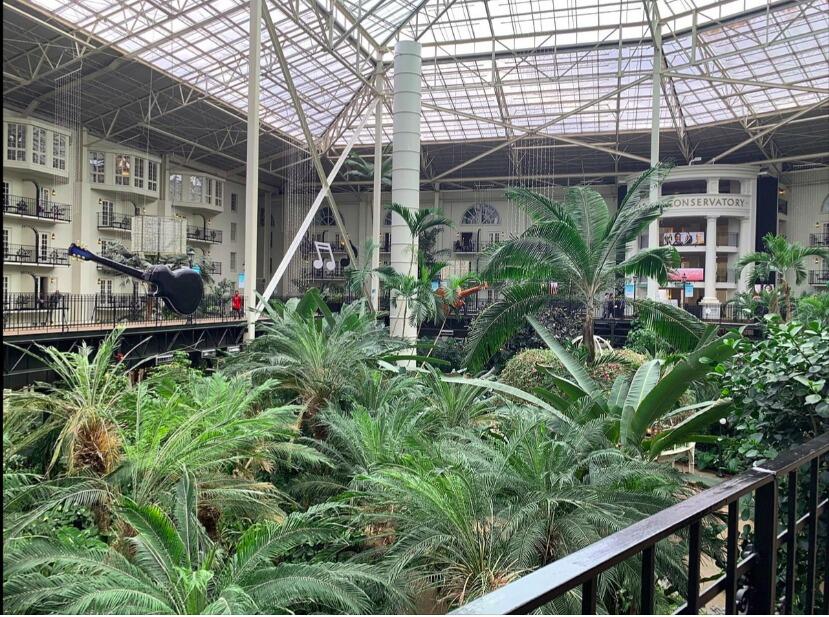 Picture of Gaylord Opryland Resort & Convention Center