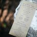 Kraft Paper with Plum Print Programs