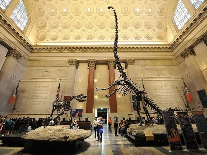 Picture of American Museum of Natural History