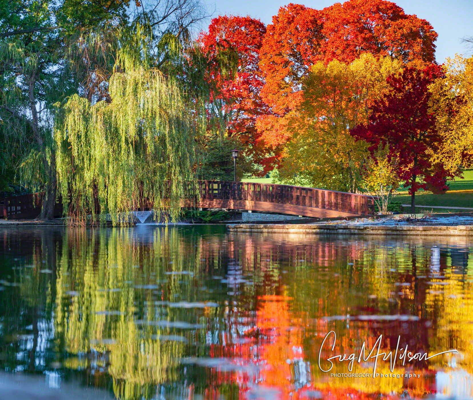 Picture of Loose Park