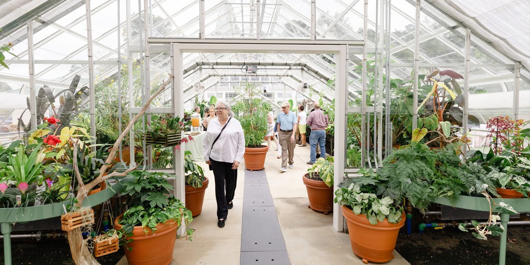 Picture of Reynolda Gardens