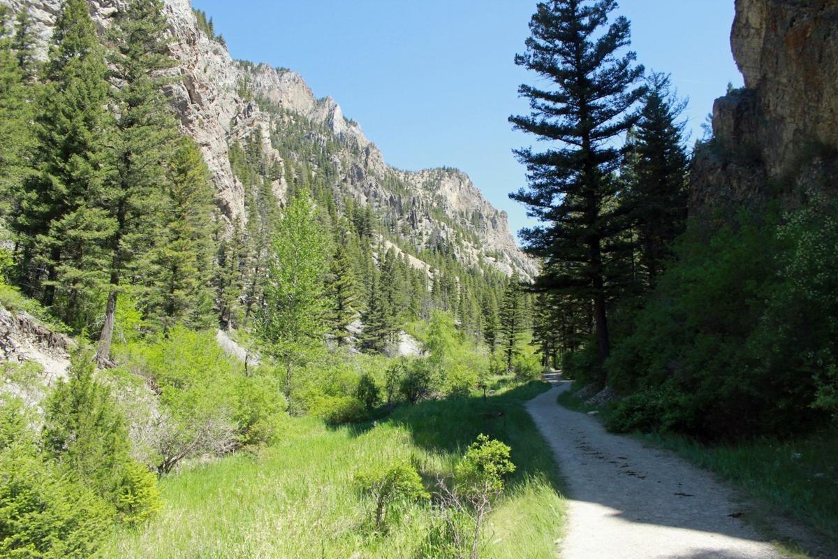 Picture of Trout Creek Canyon Hiking Trail