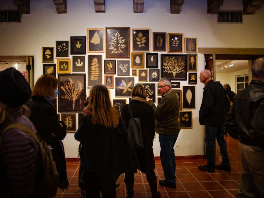 Picture of Tohono Chul | Gardens, Galleries, and Bistro