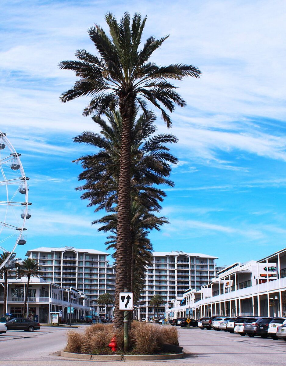 Picture of The Wharf 