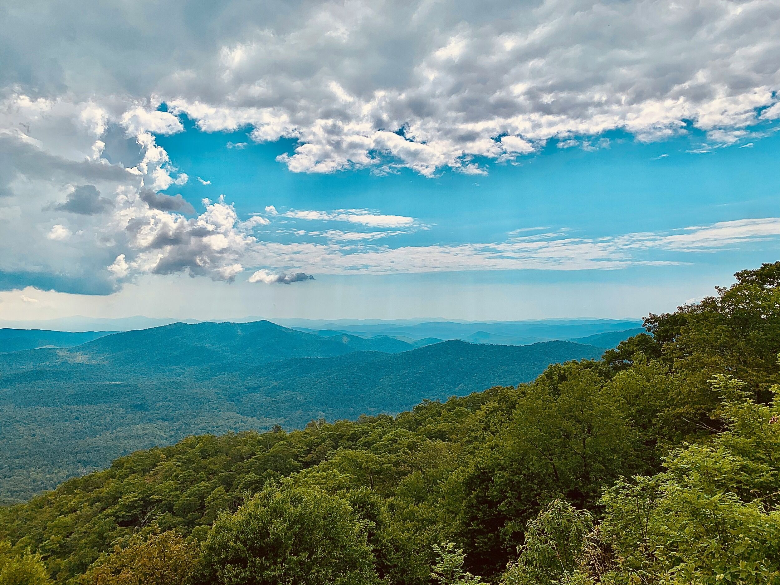 Picture of Pisgah National Forest