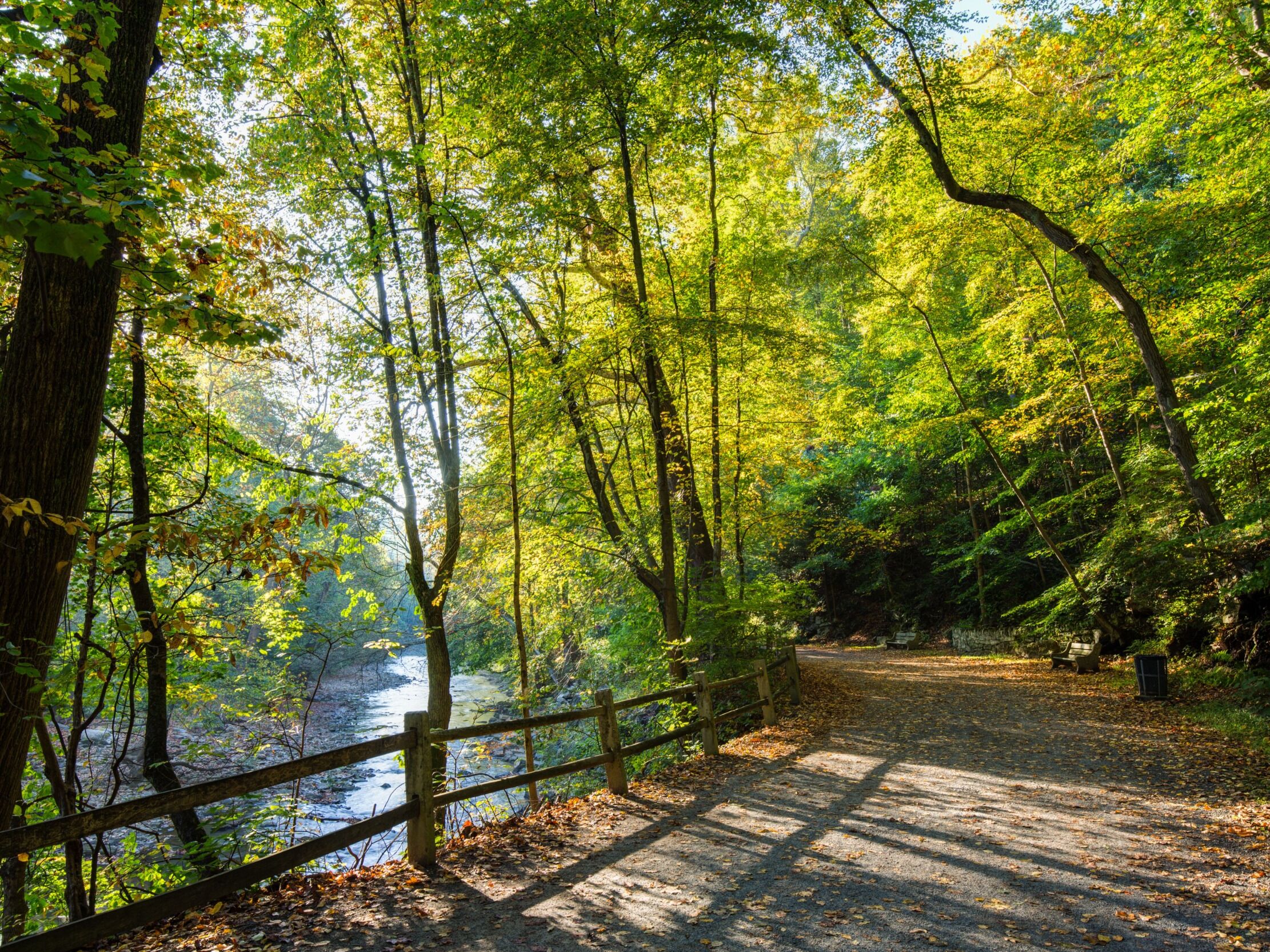 Picture of Hiking in the Wissahickon