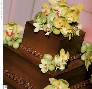 The Cake