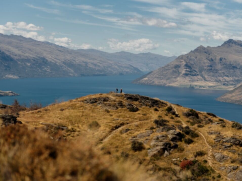 Picture of Queenstown Hill Walking Track