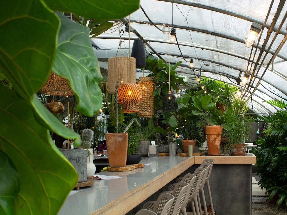 Picture of Greenhouse Bar