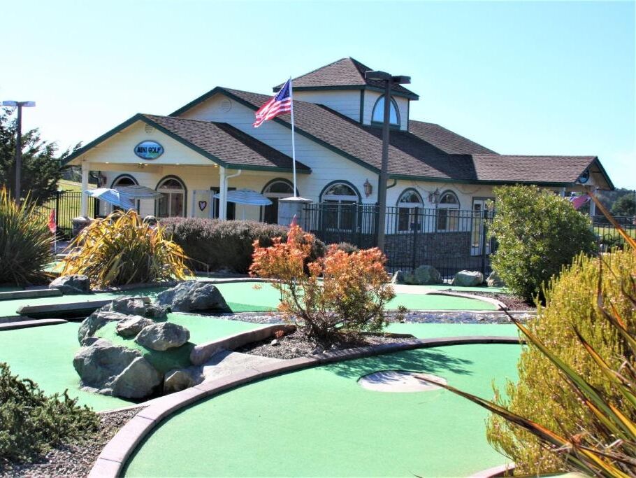 Picture of Emerald Dolphin Mini Golf & Arcade