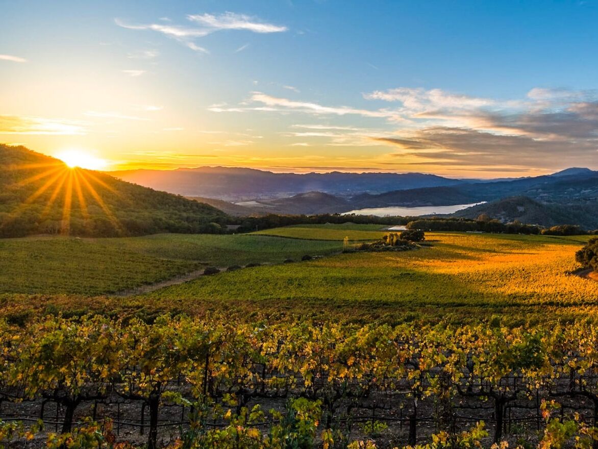 Picture of Napa Valley