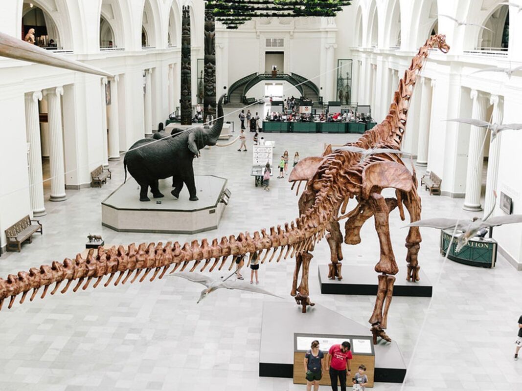 Picture of Field Museum