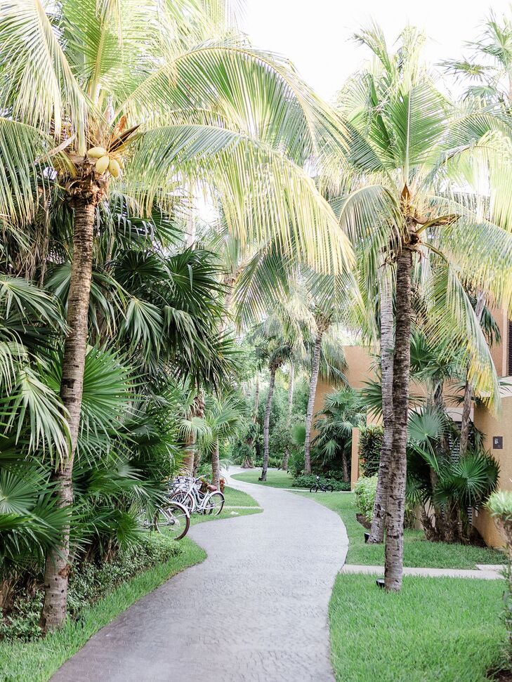 Walkway and Palm Trees at Banyan Tree Mayakoba in Mexico