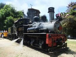 Picture of Roaring Railroads
