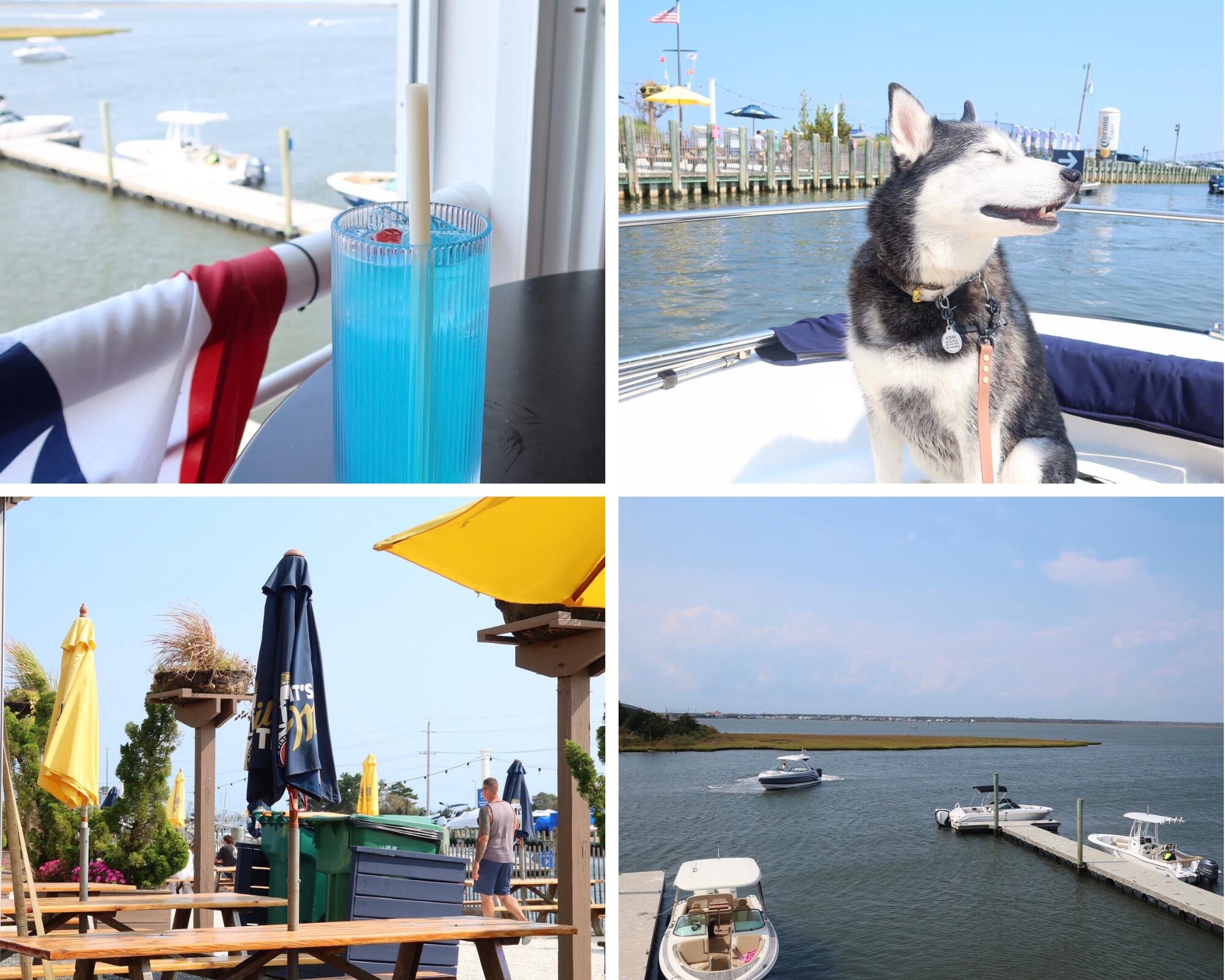 Picture of The Boatyard