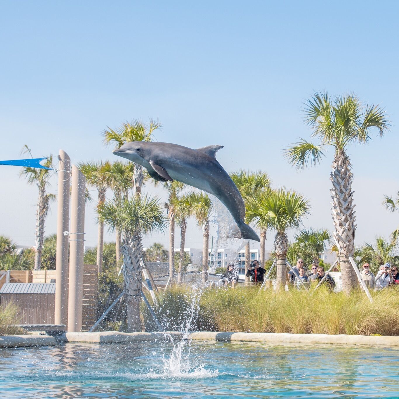 Picture of Gulfarium Marine Adventure Park