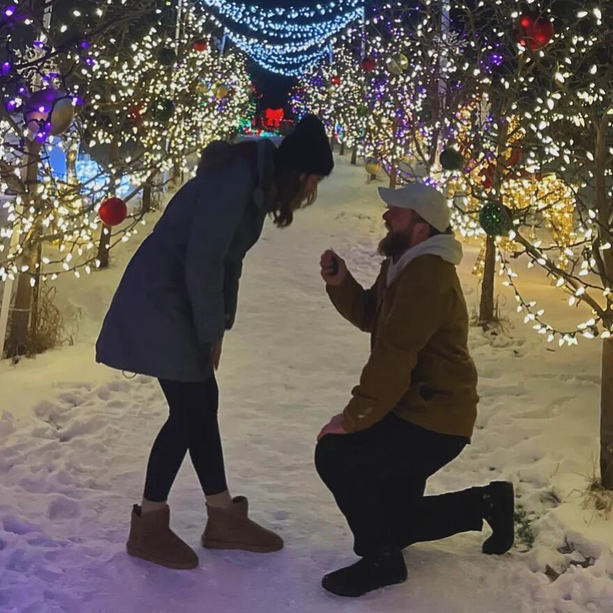 Picture of The Proposal