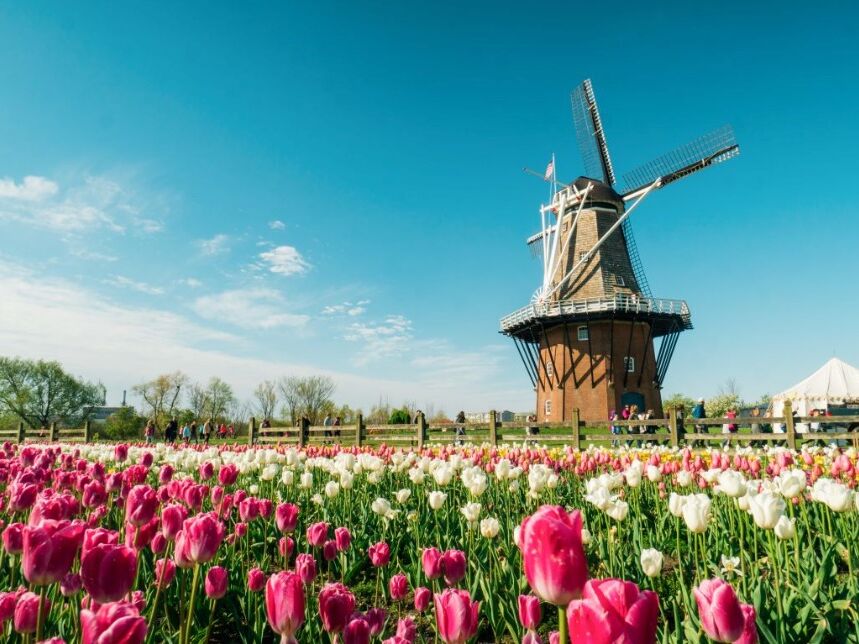 Picture of Windmill Island Gardens