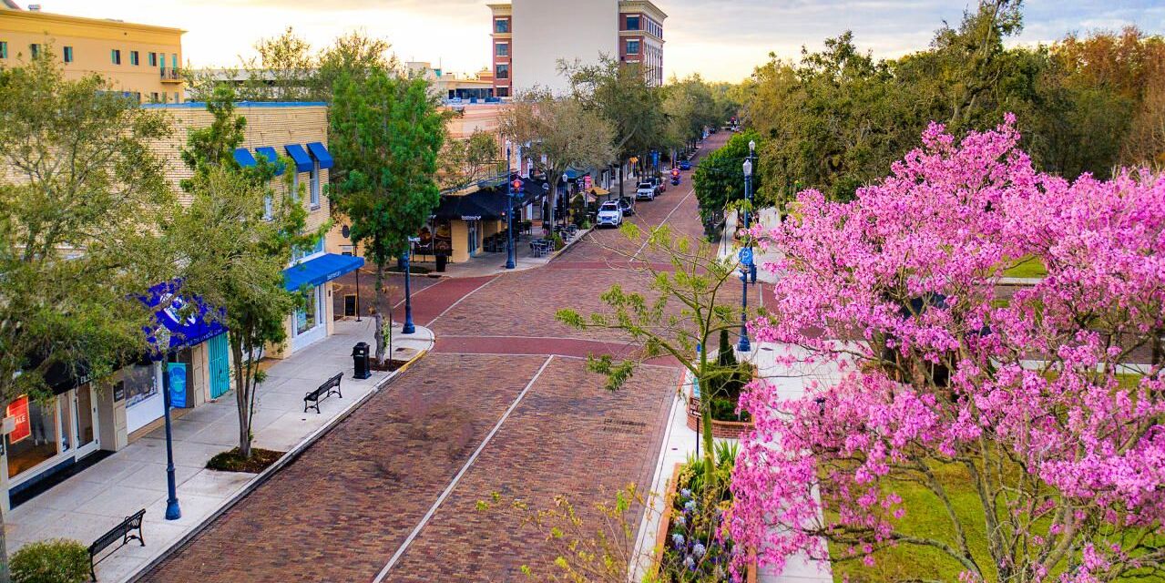 Picture of Explore Winter Park