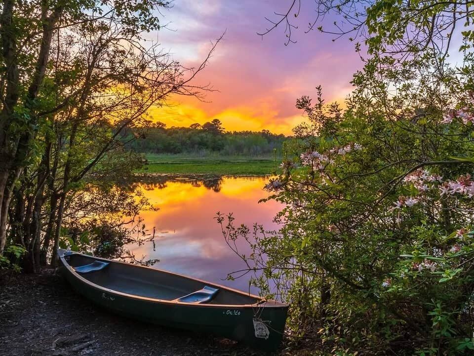 Picture of Reed Bingham State Park