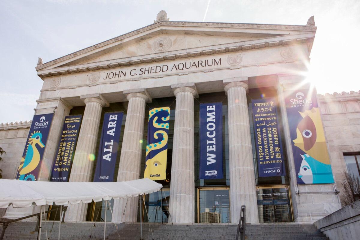 Picture of Shedd Aquarium