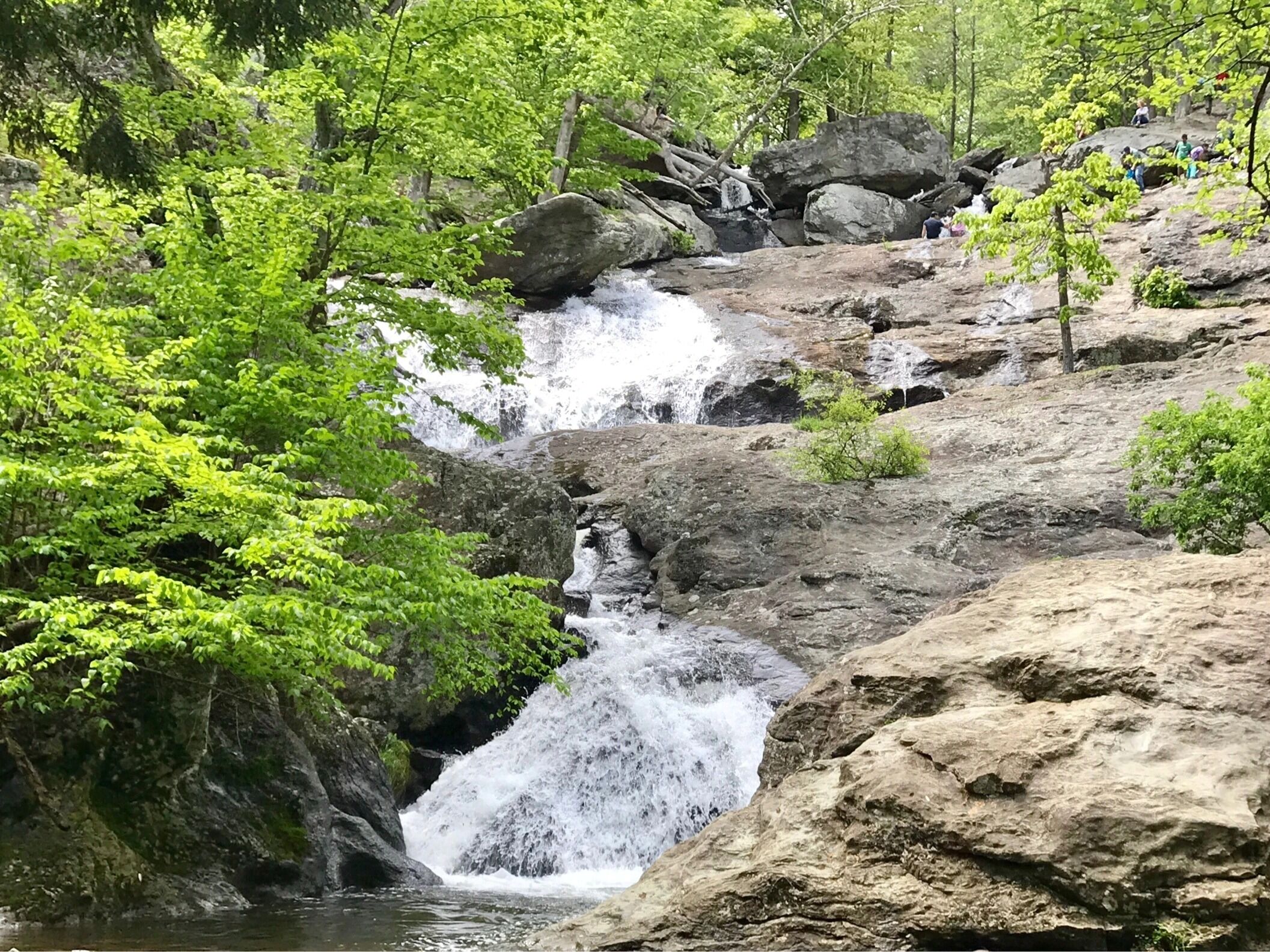 Picture of Cunningham Falls State Park
