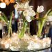 Contemporary White Tulip Centerpieces