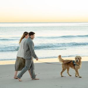 Gallery Photo 25