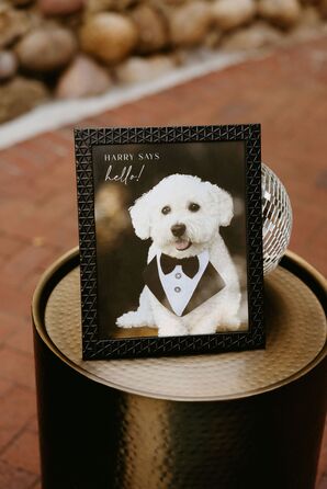 A Photo of the Couple's Dog Wearing a Tuxedo Shirt