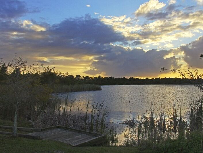 Picture of Indrio Savannahs Preserve