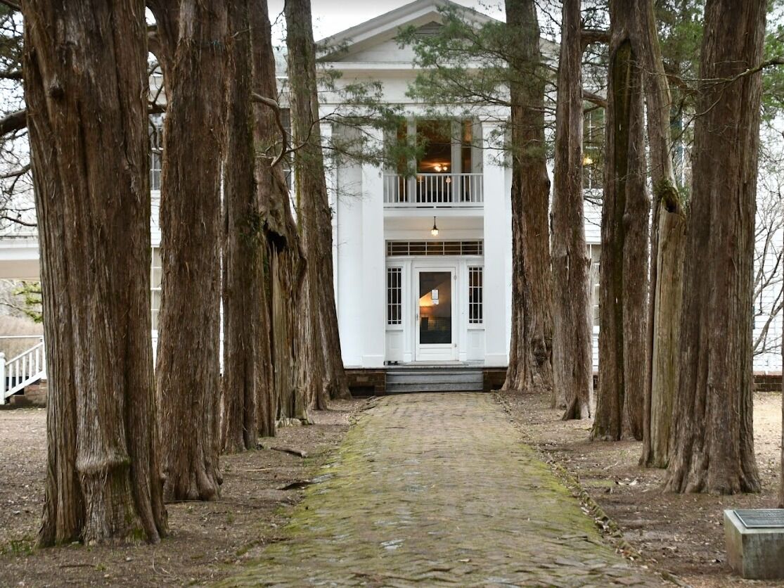 Picture of Rowan Oak