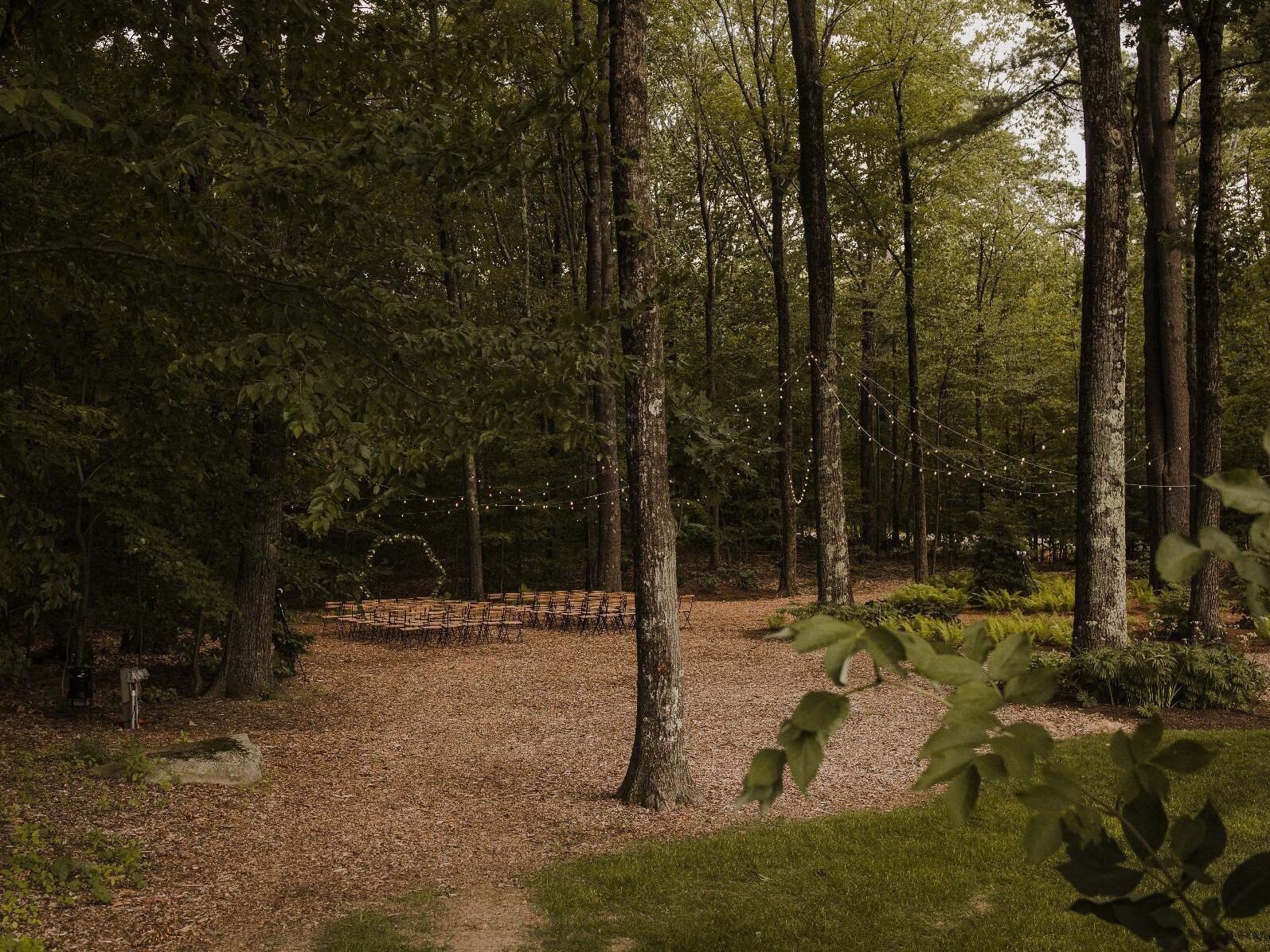 Picture of About our Venue