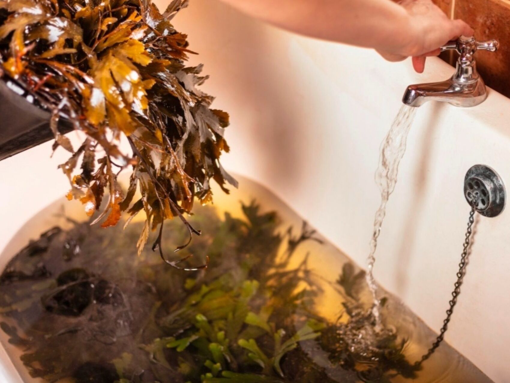 Picture of VOYA Seaweed Baths